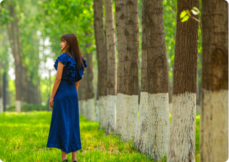 K8·凯发(中国)天生赢家·一触即发