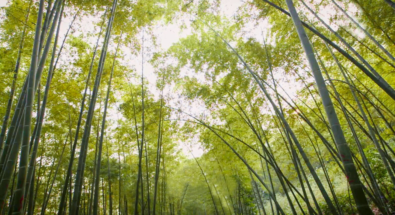 K8·凯发(中国)天生赢家·一触即发